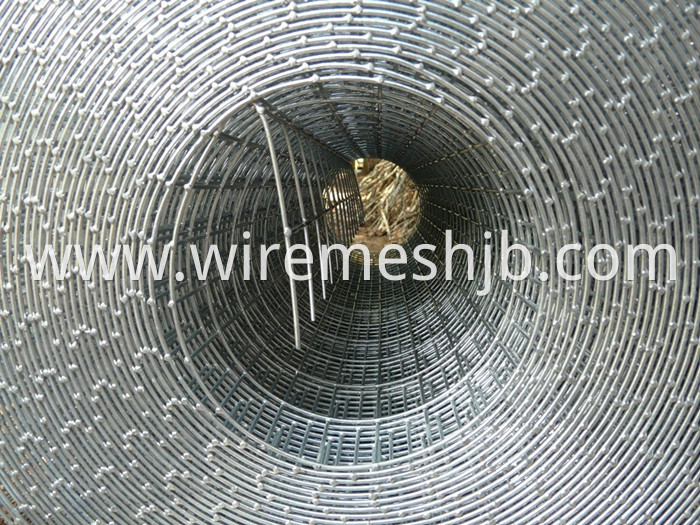 Galvanized Welded Wire